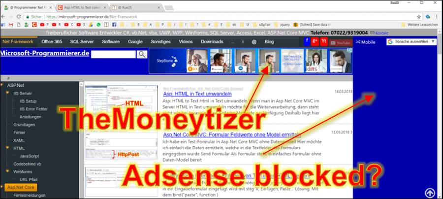 TheMoneytizer : Google Adsense geblockt