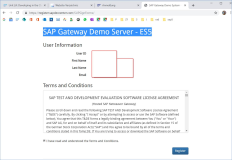Sap UI5 Schulung: SAP Gateway Demo Server anbinden für OData und Netweaver